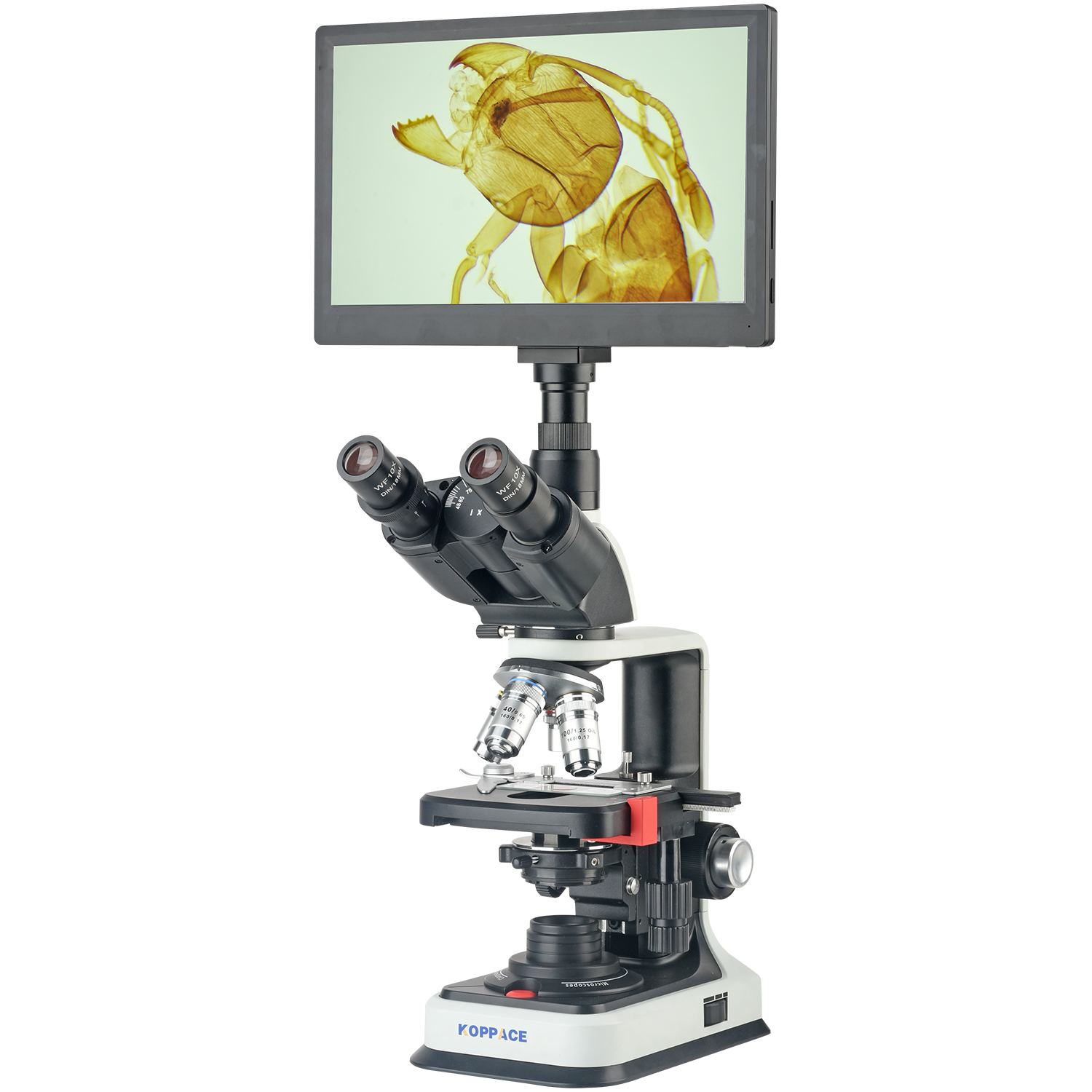 Microscope Compound 40X - مجهر إلكتروني مركب للمختبرات KOPPACE بتكبير