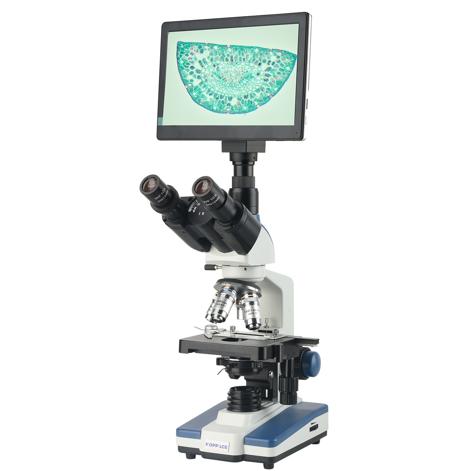 KOPPACE 40X-2500X مجهر مختبر م - مراجعة Microscope Compound 40X وسعره
