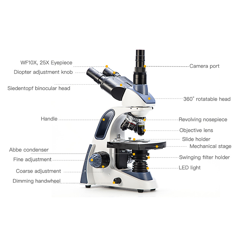 مجهر ثلاثي العينية SWIFT SW380 - مراجعة Microscope Compound 40X وسعره